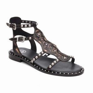Black Ash Plaza Studded Flat Women Sandals | 012936-131