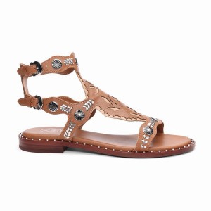 Brown Ash Paraiba Embellished Flat Women Sandals | 570326-931