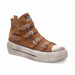 Brown Ash Rainbow Suede Buckle Hightop Women Sneakers | 970224-036